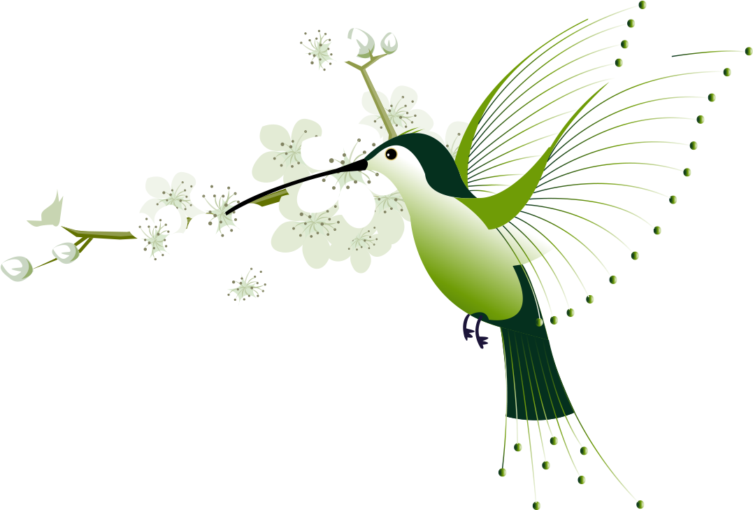Hummingbird Euclidean Vector Flower - Hummingbird Euclidean Vector Flower (1135x932)