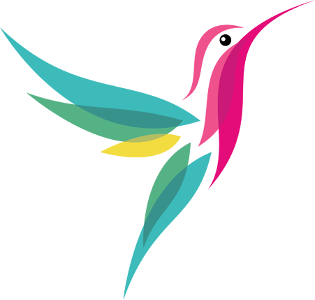 Outline Flowers With Hummingbirds - Google Hummingbird Logo (451x429)
