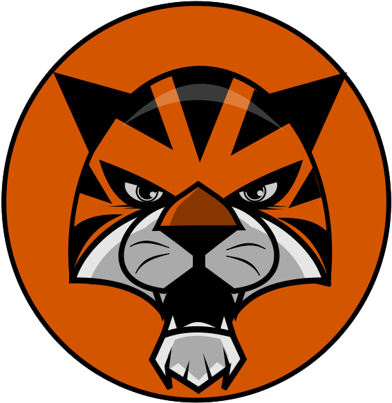 28 Collection Of Tiger Face Clipart - West Allotment Celtic F.c. (640x640)
