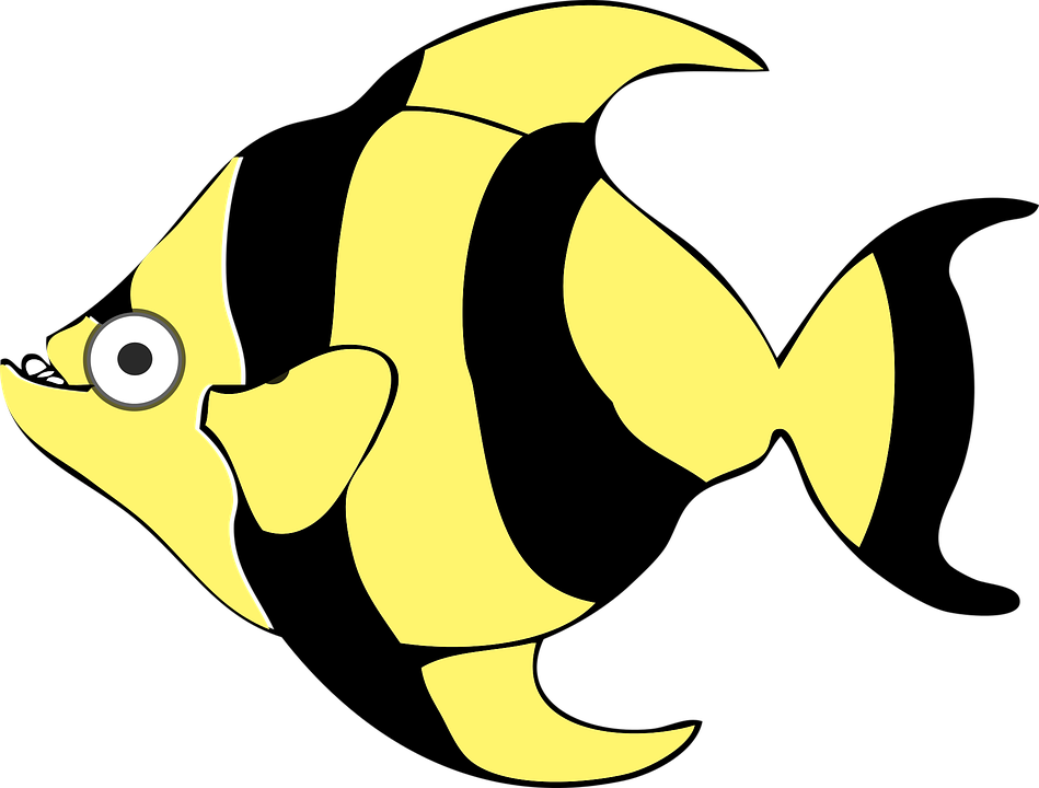 Tiger Cartoon Pictures 13, Buy Clip Art - Tropical Fish Shower Curtain (949x720)