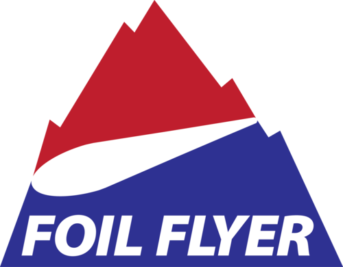 Foil Flyer Presents To San Francisco, Ca, Entrepreneurs - Illustration (500x390)