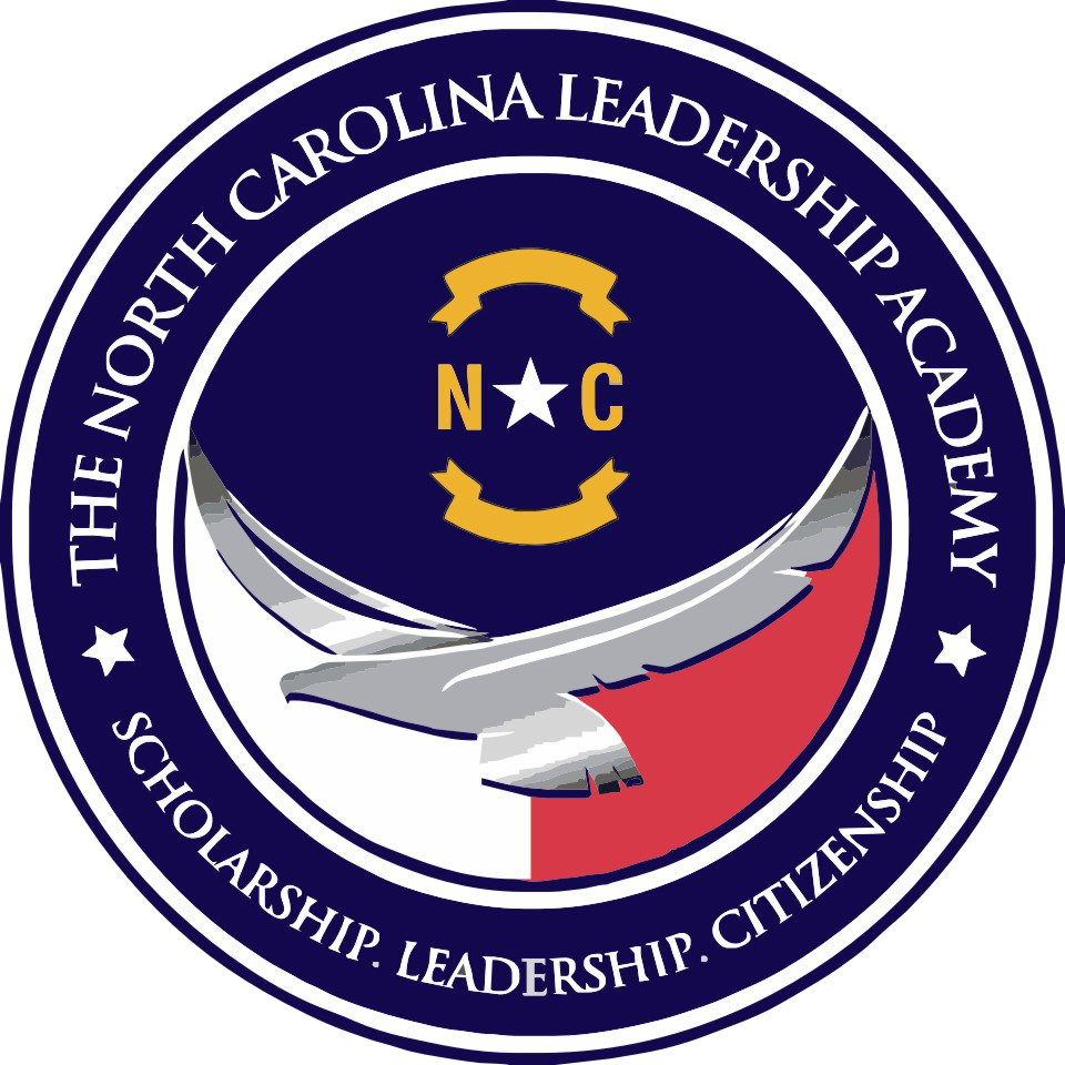 Electrelane No Shouts No Calls (960x960)