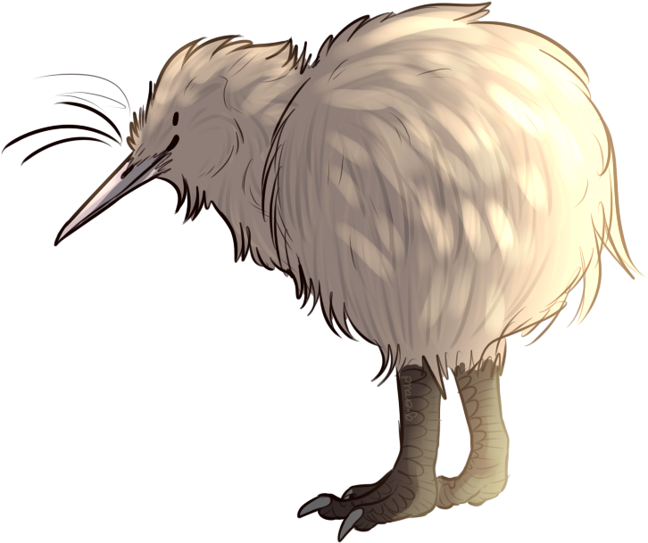 7 Curious Facts That Prove Kiwis Are Amazing Little - Kiwi Bird Transparent (766x659)