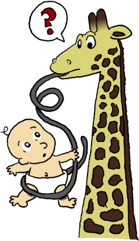 A Giraffe Sticks Out A Very, Very Long Tongue, Which - Giraffe (319x500)