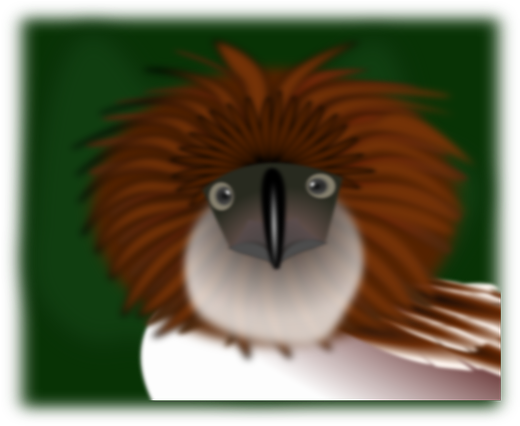 Animal Kiwi, Bird, Eagle, Philippines, Animal - Philippine Eagle Cartoon (640x471)