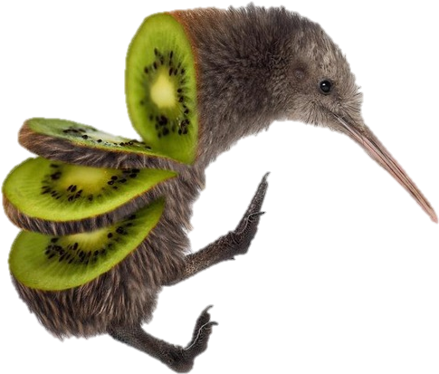 Kiwi Bird - Native New Zealand Animals (656x850)