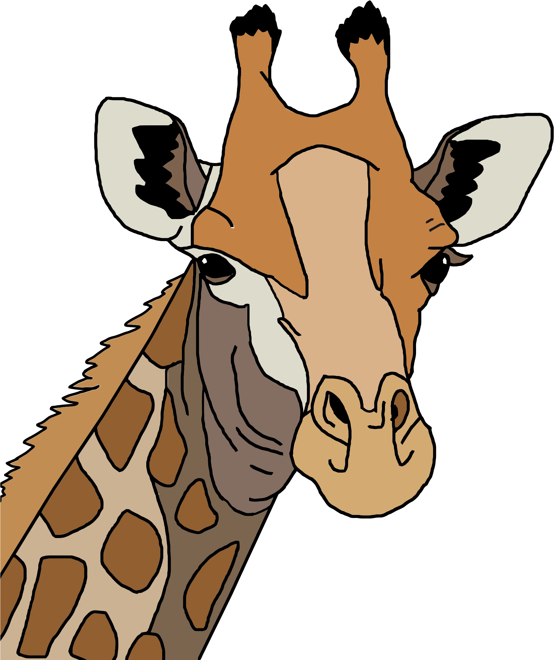 Cartoon Giraffe Face - Colored Giraffe Icon (1855x2212)