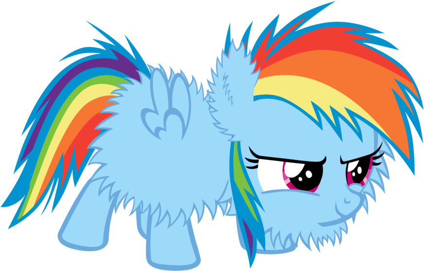 Fluffy Rainbow Dash - My Little Pony Washmachine (900x630)