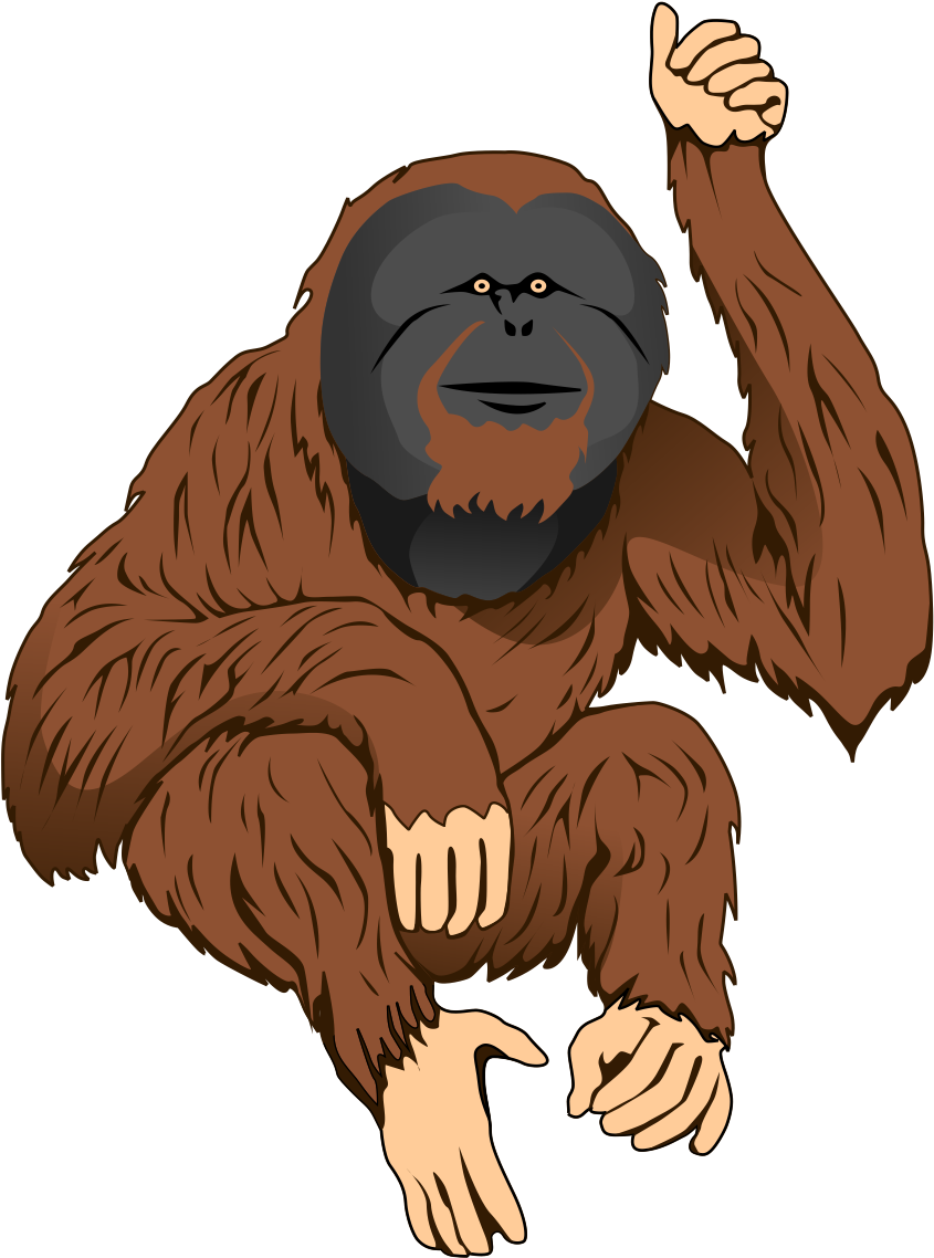Free Orangutan Clip Art - Orangutan Clipart (1083x1265)