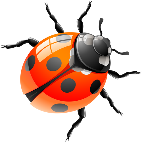 Embroidery - Classic Ladybug Shower Curtain (500x498)