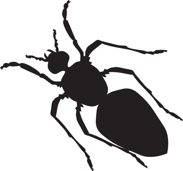 Black Ant Silhouette Clip Art - Ant Body Shape (600x561)