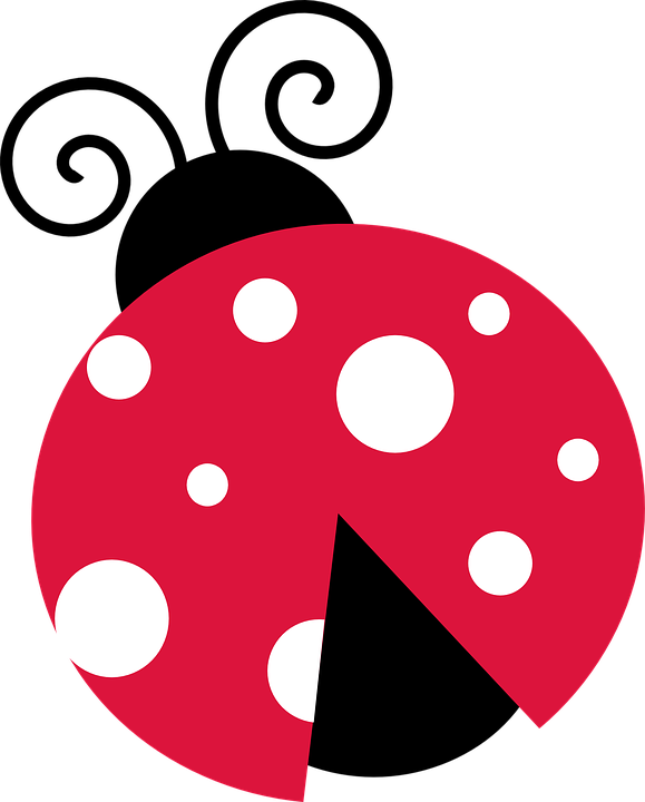Lady Bug Clip Art 108632 - Lady Bug Spring Clip Art (579x720)