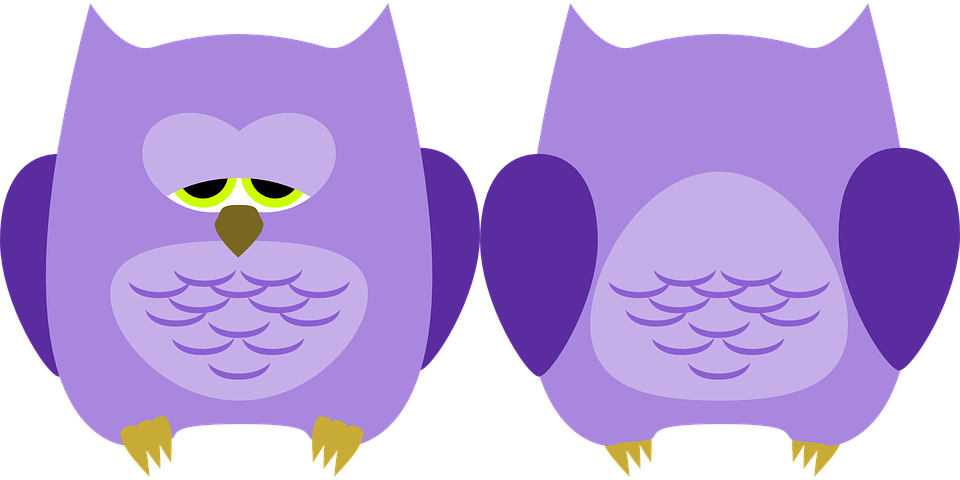 Reading Owl Cliparts 29, Buy Clip Art - Turquoise Owl Round Ornament (1280x640)