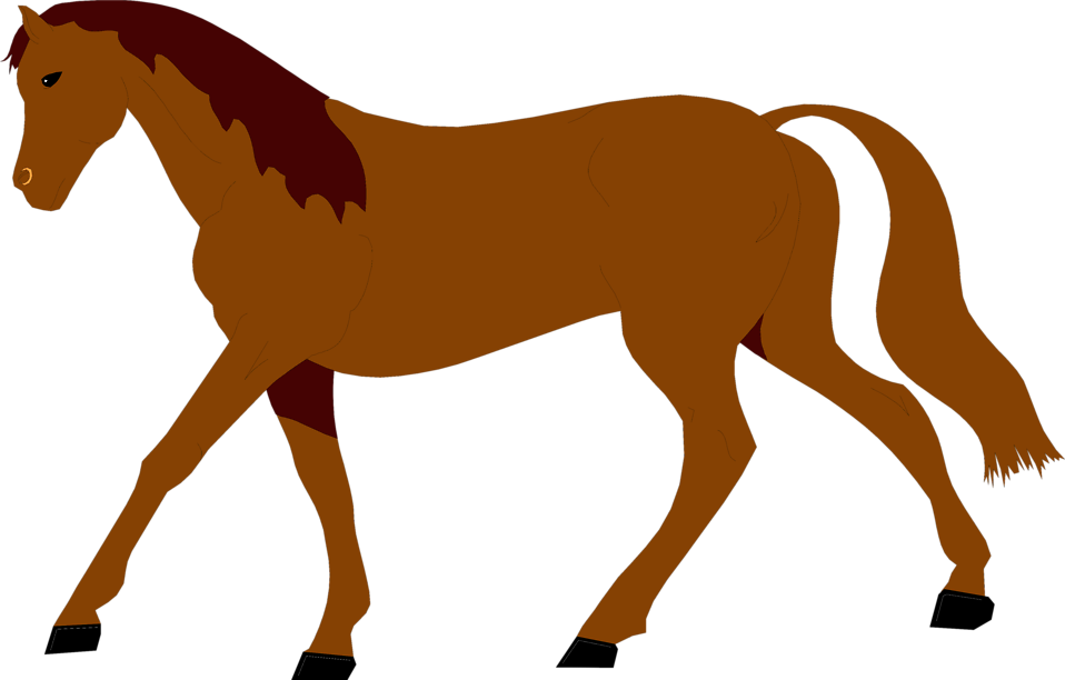 Free Stock Photos - Horse Illustration Free (958x612)