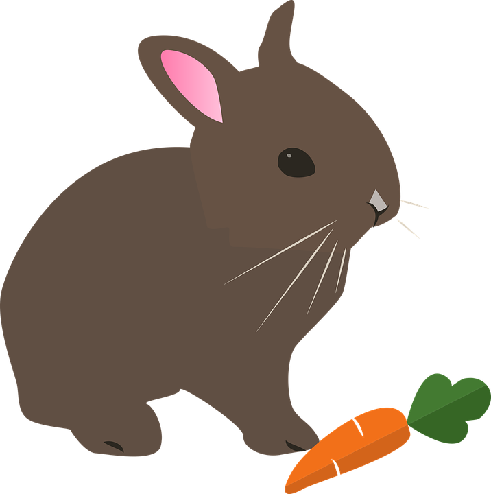 Free Photo Rabbit Spring Hare Animal Pet Easter Nature - Clip Art Kelinci (716x720)