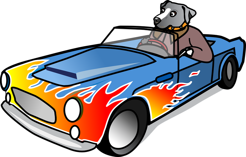 Dog In Sports Car - Cartoon Dog Driving Sports Car Mugs (1280x817)