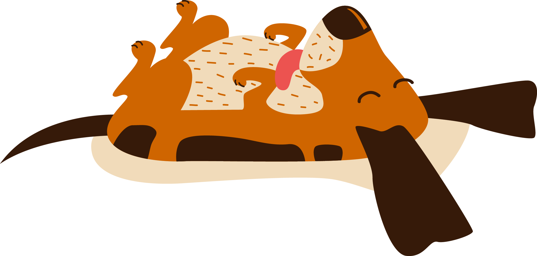 Yorkshire Terrier Cat Puppy Pet - Yorkshire Terrier Cat Puppy Pet (2244x1069)