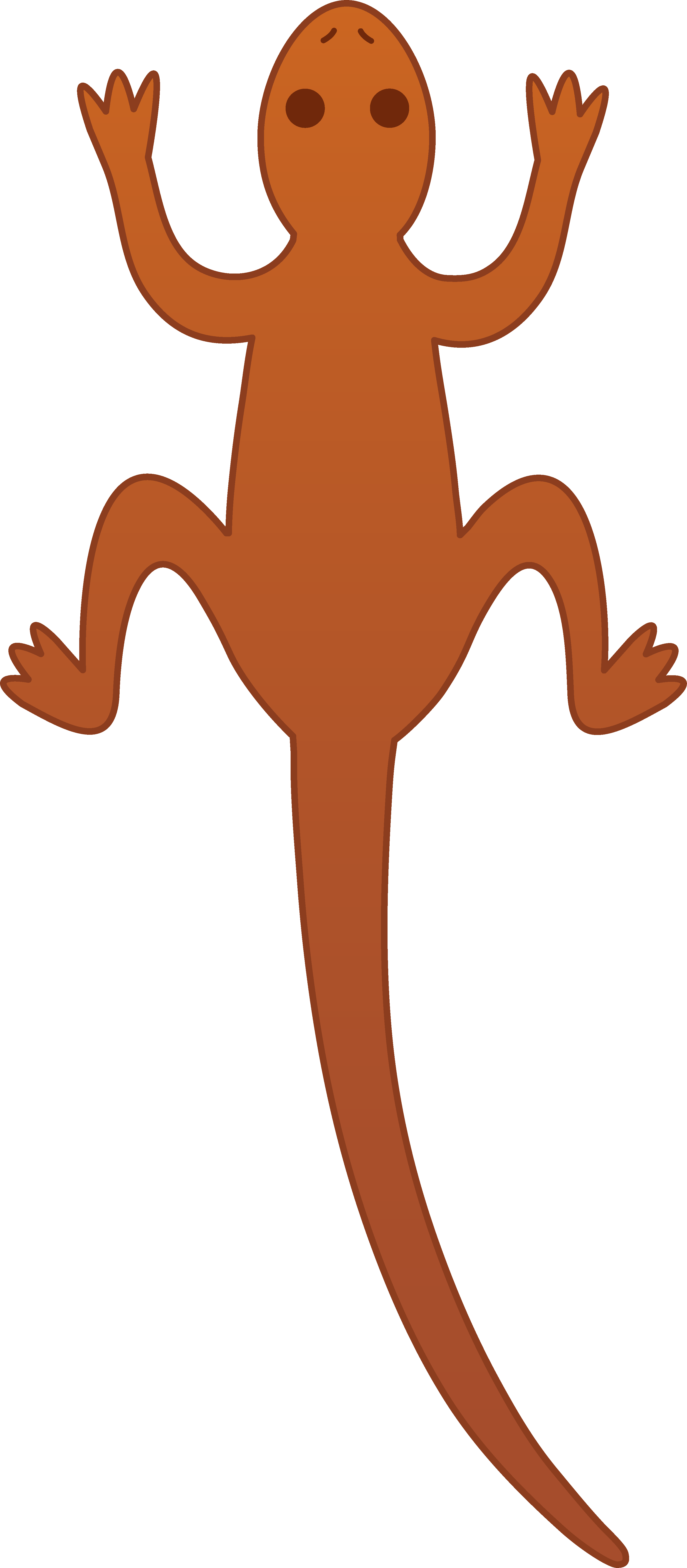 Cute Brown Lizard - Clipart Lizard (3026x6908)