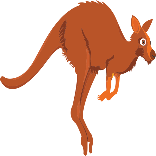 Cartoon Kangaroo - Kanfgroo Clip Art (500x500)