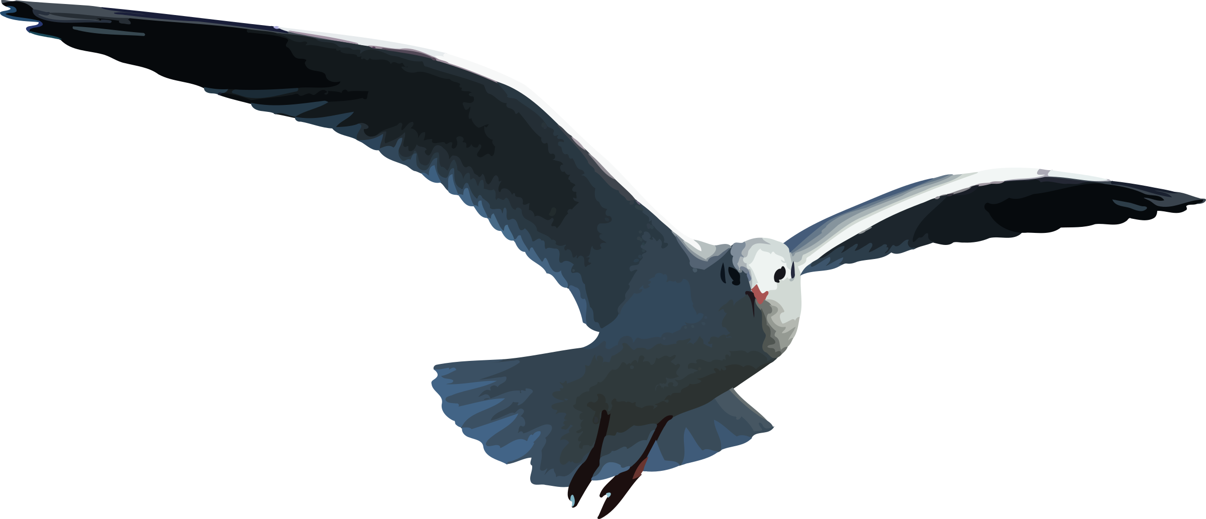 Big Image - Seagull Png (2400x1034)