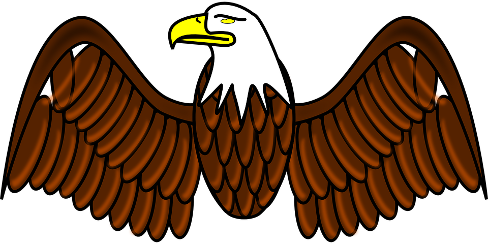 Cartoon Pictures Of Eagles - Bald Eagle Clip Art (960x480)