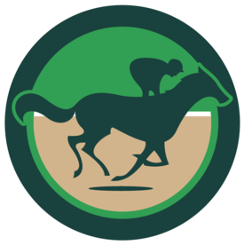 And Down The Stretch They Come - Down The Stretch They Come (400x320)