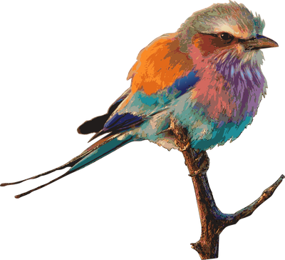 Vintage Vector Car Sepia - Extra Long Fabric Bath Shower Curtain With 12 Hooks (400x364)