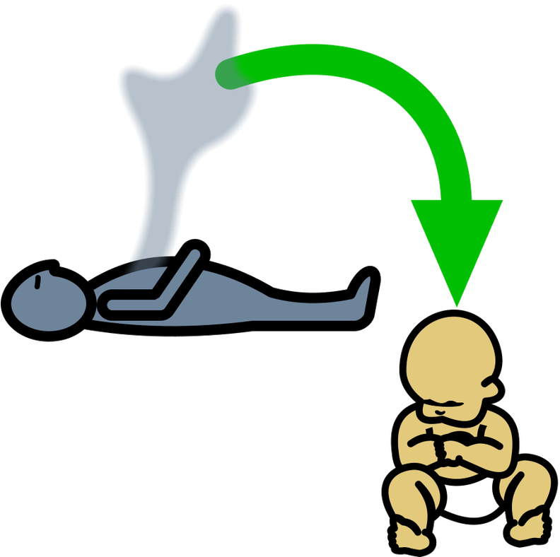 Picture - Reincarnation Clipart (797x800)