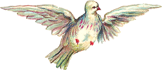 Free Vintage Valentines Clip Art - Ruby-throated Hummingbird (816x592)