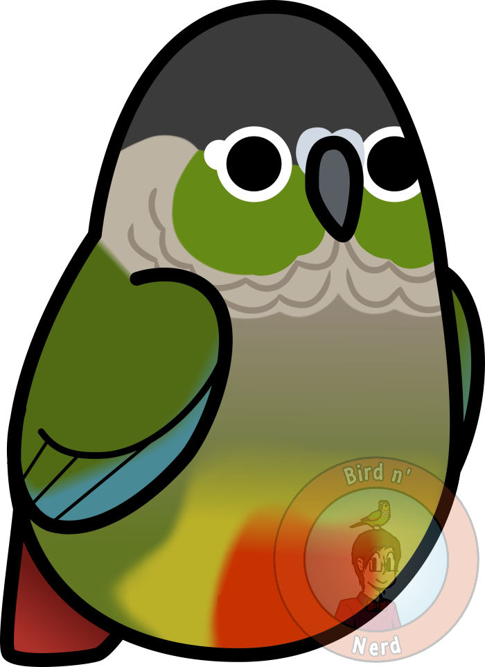 Too Many Birds Green Cheeked Conure By Maddemichael - Too Many Birds Green Cheeked Conure By Maddemichael (700x962)