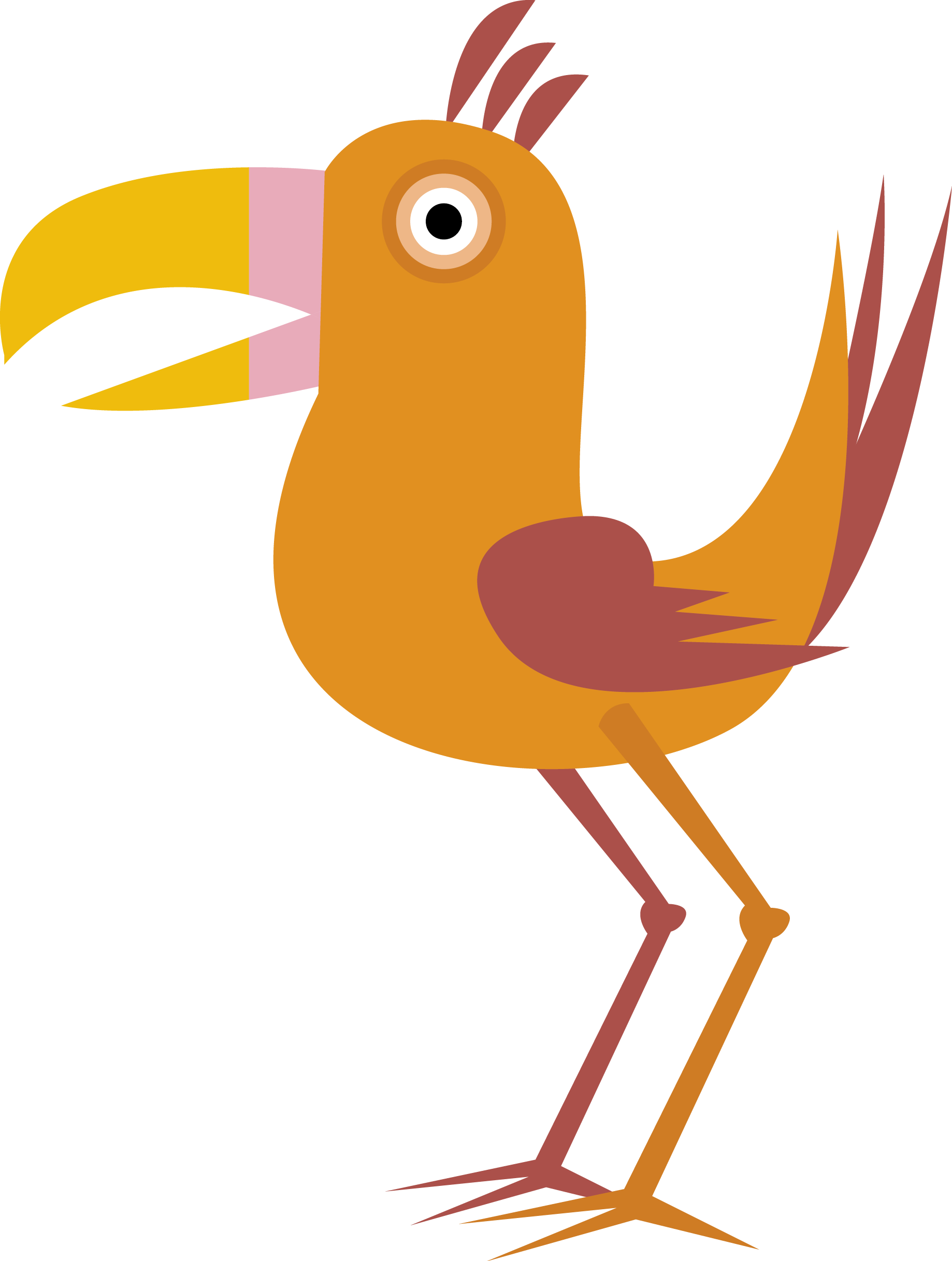 Bird Euclidean Vector Cartoon Drawing - Bird Euclidean Vector Cartoon Drawing (1838x2435)