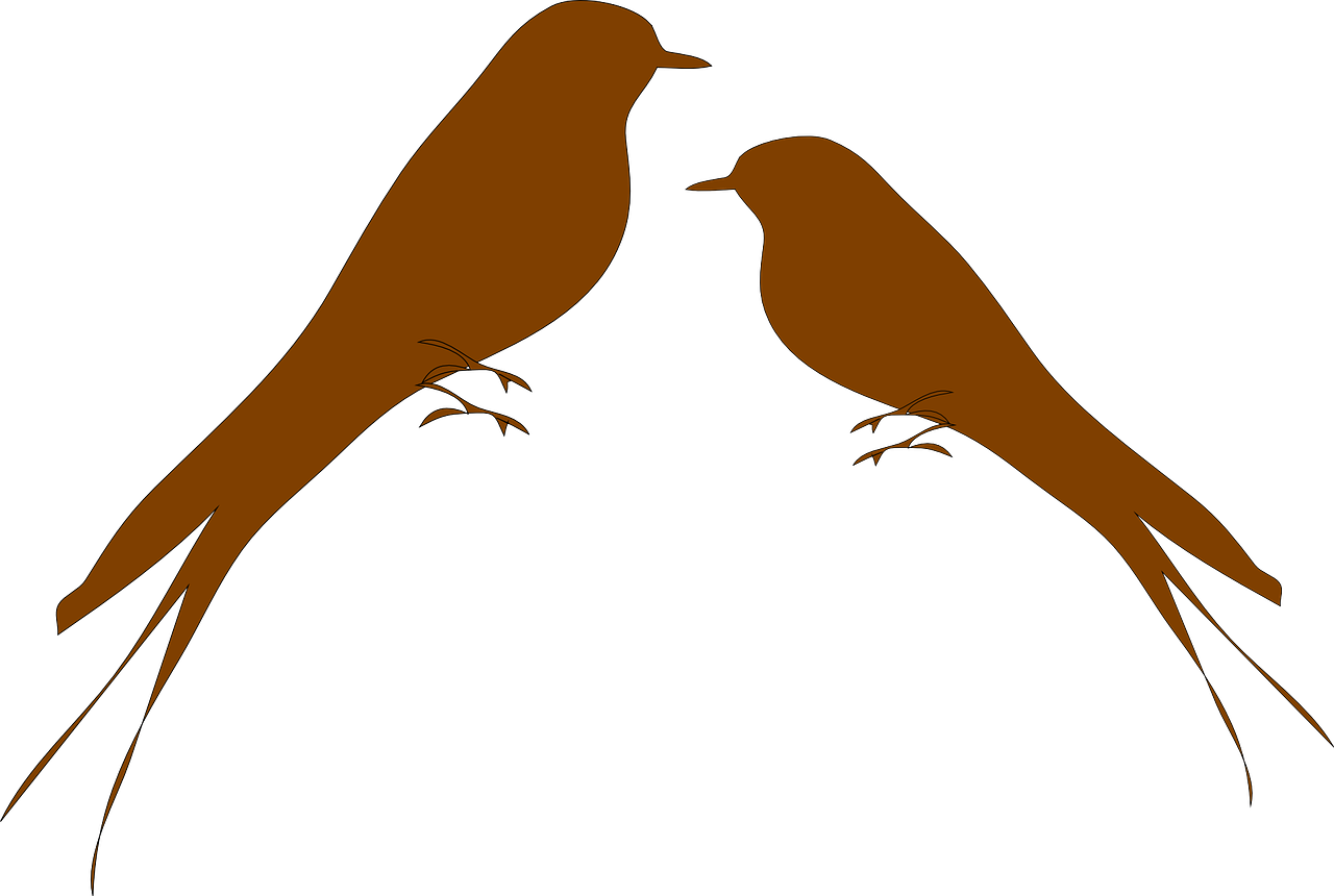 How To Draw A Bird, How To Draw A Swallow 4 - Bird Silhouette (1280x860)