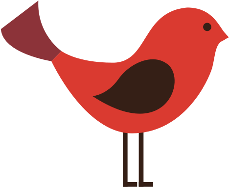 Cute Bird Animal Isolated - Bird (550x530)