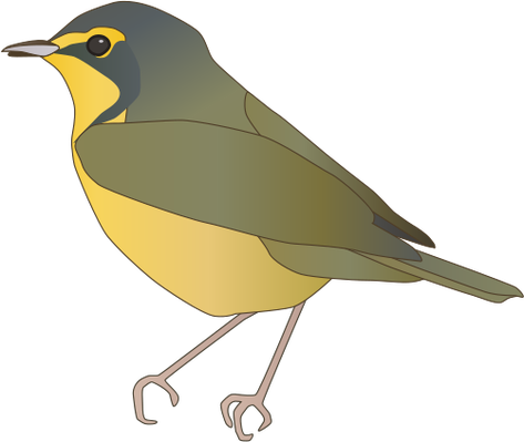 Yellow Warbler Svg - European Robin (473x399)