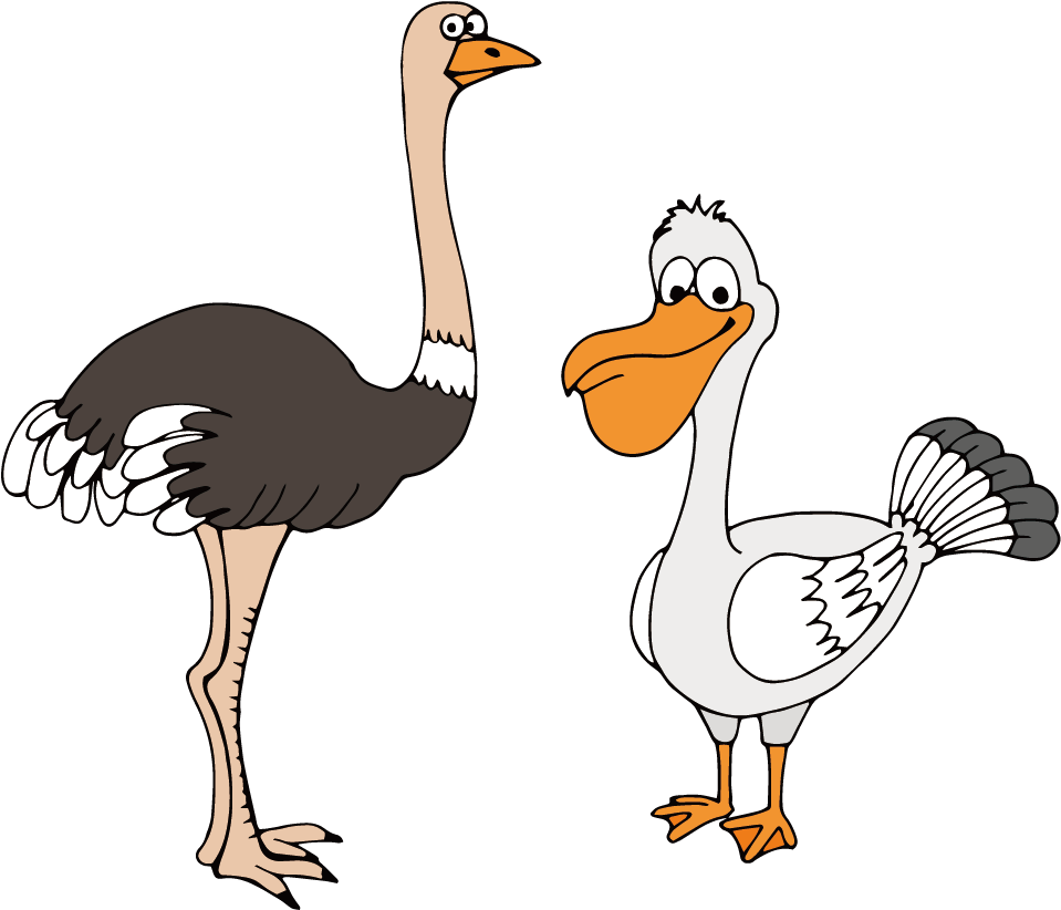 Common Ostrich Bird Gulls Cartoon Drawing - Common Ostrich (1240x1314)