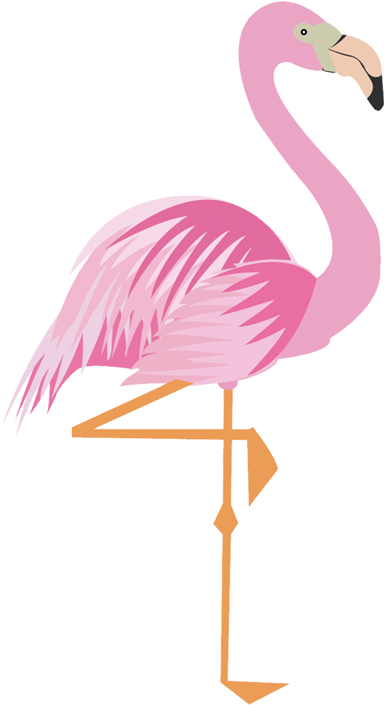 Greater Flamingo Drawing Cartoon - Imagem De Flamingo Para Imprimir (1000x1000)