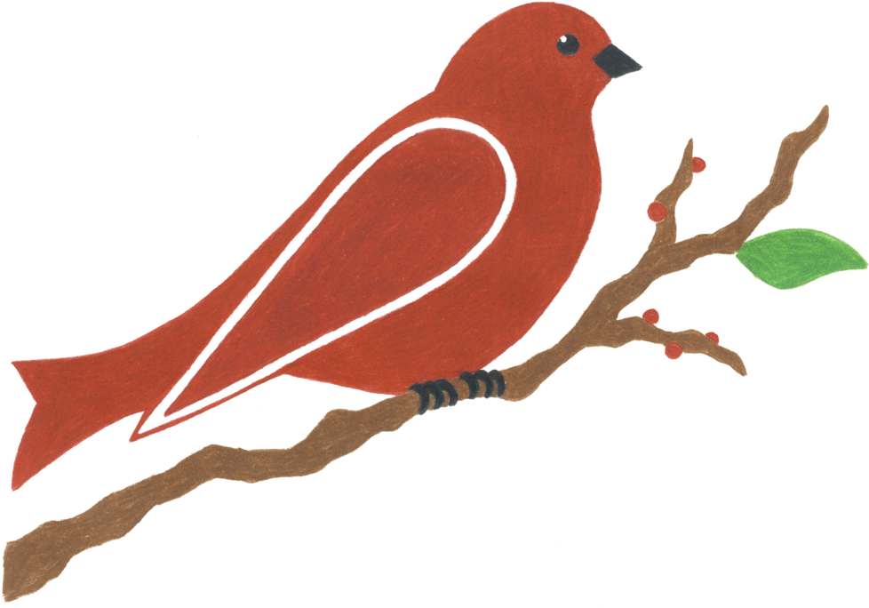 Red Bird Landscapes & Edible Gardens - Red Bird Landscapes & Edible Gardens (1000x702)