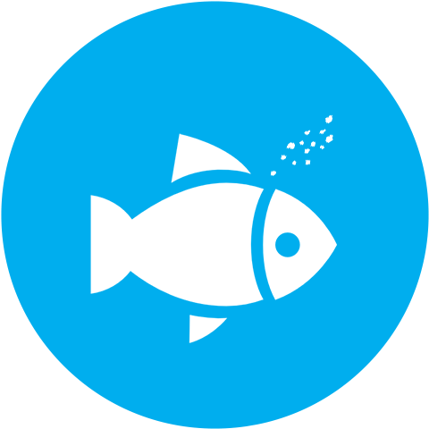 What We Give Our Fish - Twitter Icon For Email Signature (512x512)
