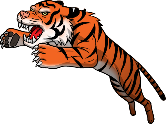 Attacking Tiger - Attacking Tiger Clip Art (553x412)