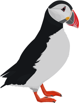 Puffin Clipart Cute Cartoon - Atlantic Puffin (600x520)