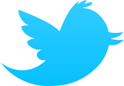 Official Twitter Icon Png Image - Twitter Bird Png (500x500)