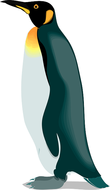 Species Penguin, Bird, Snow, Wings, Animal, Cold, Species - Emperor Penguin Clipart (435x750)