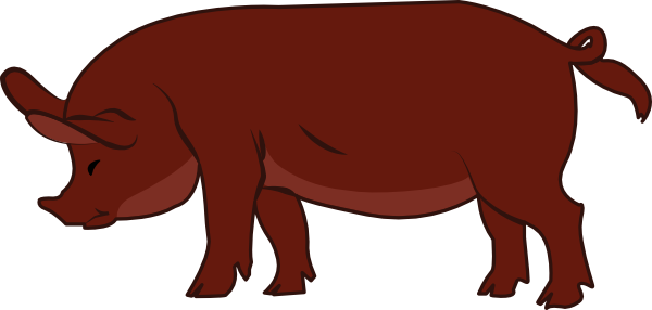 Duroc Pig Clip Art At Clker - Drawings Of Duroc Pig (600x286)