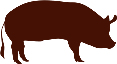 Vector, Clipart, Digital - Pig Png (512x512)