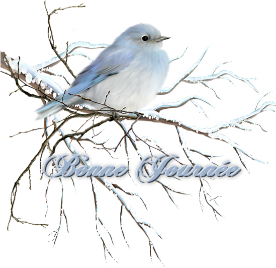 Par Creacoco Dans Accueil Le 13 Décembre 2017 À - Mountain Bluebird (548x600)