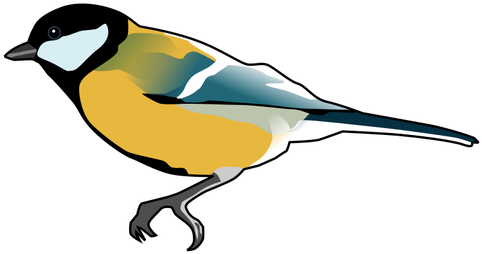 Great Tit Bird Drawing - Finches Clip Art (500x271)