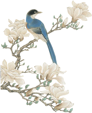 飞鸟手绘卡通免抠图 - Gongbi (600x600)