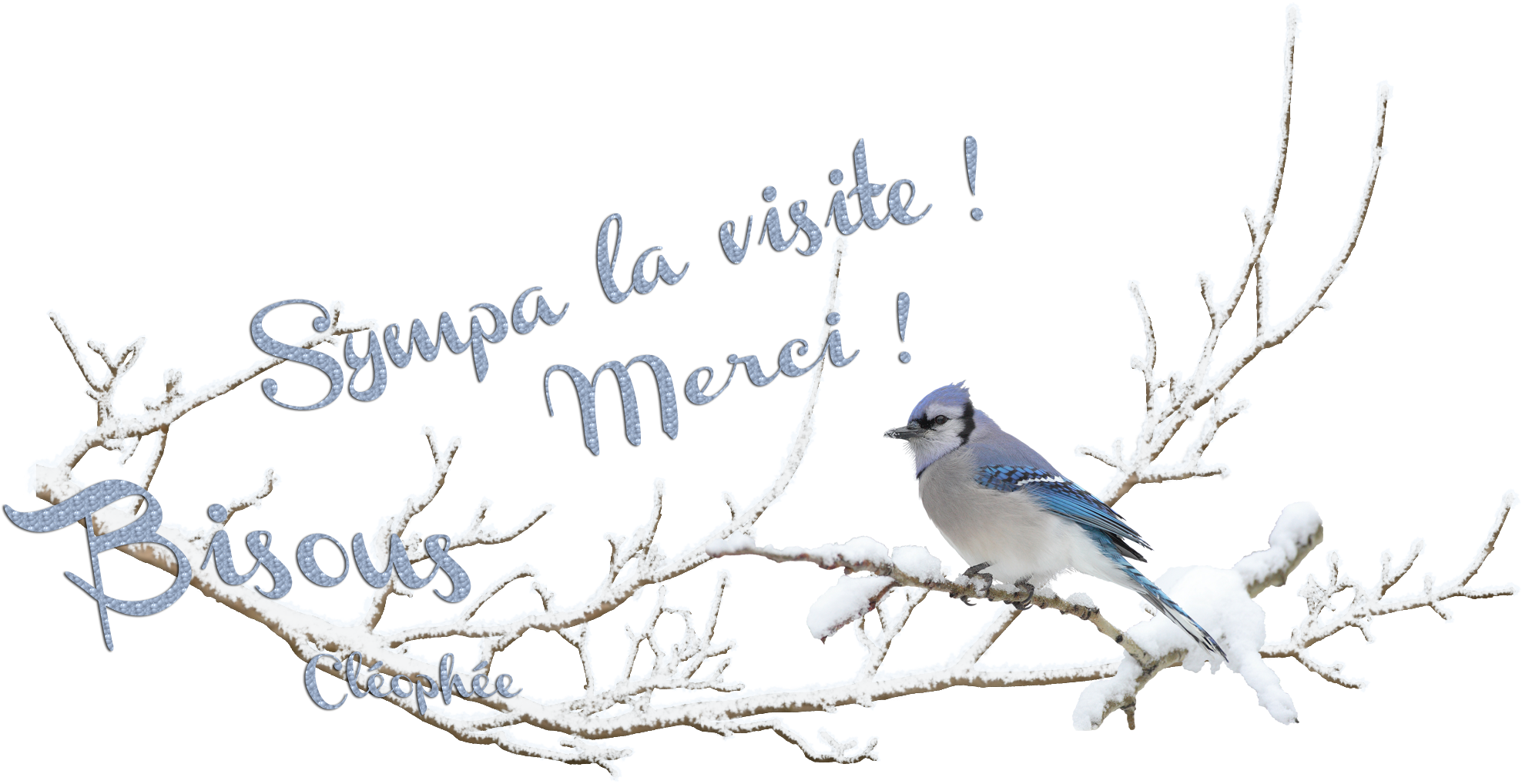 Photomontages - Blue Jay (2022x1050)