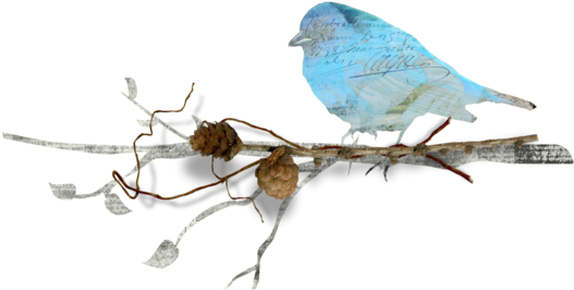 Mountain Bluebird (600x320)