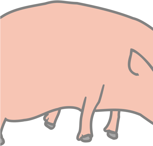 Similar Clip Art - Pig Clip Art (618x800)
